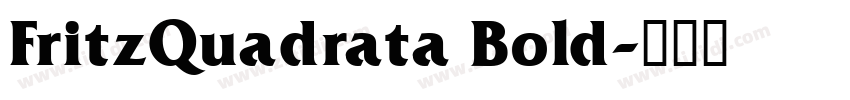 FritzQuadrata Bold字体转换